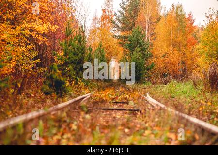 Rotaie della ferrovia in autunno, intorno alla foresta, viaggio, sentiero Foto Stock