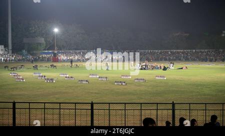 Rajkot, India. 10 novembre 2023. Madhavrao Scindia Cricket Ground, i petardi sono stati tenuti per scoppiare sul lato sinistro. Crediti: Nasirkhan Davi/Alamy Live News Foto Stock