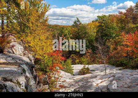 Colori autunnali nelle Shawangunk Mountains, percorso escursionistico nella foresta all'aperto. Foto Stock