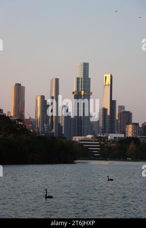 Skyline di Melbourne dall'Albert Park Lake Foto Stock
