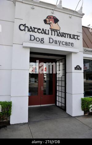 The Chateau Marmutt Dog daycare Center, una piccola azienda a Los Angeles, California, Stati Uniti Foto Stock