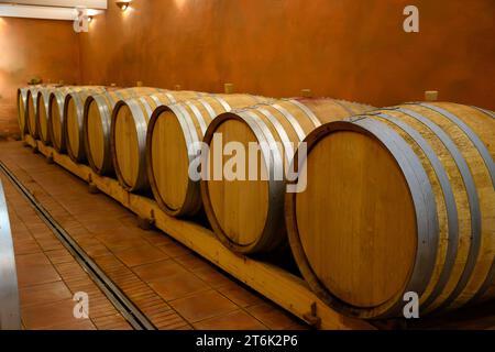 Cantine sotterranee con botti per l'invecchiamento del vino rosso secco nel villaggio di produzione di vino Chateauneuf-du-Pape in Francia, con vigneti verdi su un grande peb Foto Stock