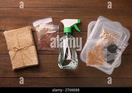 Kit di coltivazione Microgreens. Semi, tappetini, contenitori e flacone spray diversi su tavolo in legno, base piatta Foto Stock