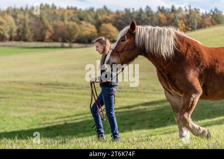 Una giovane donna e il suo noriker cavallo da tiro a sangue freddo su un prato in autunno all'aperto Foto Stock
