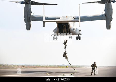 2 novembre 2023 - Camp Lemonnier, Gibuti - USA Air Force pararescuemen con il 82nd Expeditionary Rescue Squadron fast-rope da un US Marine Corps MV-22 Osprey, assegnato al Marine Medium Tiltrotor Squadron 261 (VMM-261), a Camp Lemonnier, Gibuti, 28 ottobre 2023. Gli equipaggi e i pararescuemen collaborano regolarmente per l'addestramento congiunto per il recupero del personale, al fine di garantire una risposta rapida e la disponibilità a un'ampia gamma di scenari di recupero del personale. (Immagine di credito: © Allison Payne/U.S. Air Force/ZUMA Press Wire) SOLO USO EDITORIALE! Non per USO commerciale! Foto Stock