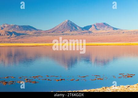 Vulcano Licancabur visto all'ora d'oro da Laguna Tebinquinche nel deserto di Atacama, Cile settentrionale. Foto Stock