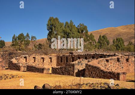 Parco archeologico "Wiracocha" nelle rovine di Raqchi Foto Stock