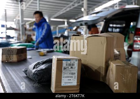 BINZHOU, CINA - 11 NOVEMBRE 2023 - i lavoratori ordinano pacchi espressi in una società di logistica a Binzhou, provincia dello Shandong, Cina, 11 novembre 2023. Foto Stock