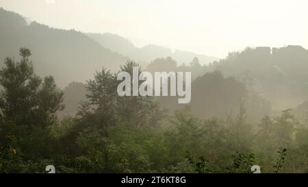 Foresta autunnale di foggy in Bosnia ed Erzegovina Foto Stock