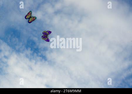 Due farfalle contro il cielo blu e nuvoloso. Adesivi a farfalla su una finestra. Insieme. Immagine insetti, illustrazione. Foto Stock