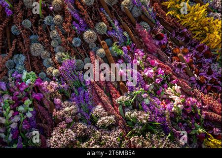 Sfondo di fiori colorati misti. Decorazioni floreali, vista dall'alto Foto Stock