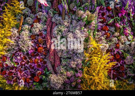 Sfondo di fiori colorati misti. Decorazioni floreali, vista dall'alto Foto Stock