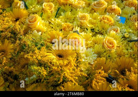 Splendido sfondo floreale autunnale. Decorazioni floreali, vista dall'alto. Letto di fiori in giallo. Foto Stock