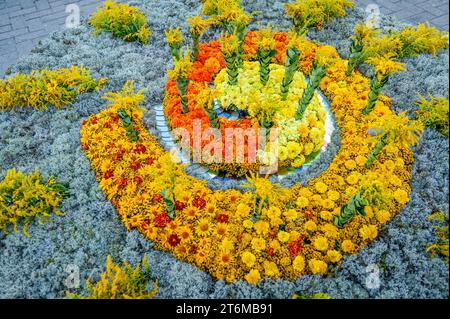 Splendido sfondo di fiori. Sfondo di calendula e zinnia. Giardino a spirale in fiori. Vista dall'alto, biglietto d'auguri. Foto Stock