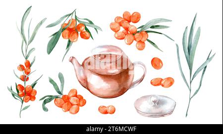 Set di illustrazioni disegnate a mano con acquerello del Buckthorn marino. Seaberry su sfondo bianco isolato. Disegnare bacche e foglie per l'etichetta o i biglietti per gli alimenti Foto Stock