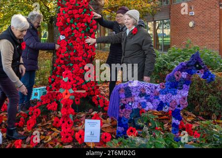 Burnham, Regno Unito. 11 novembre 2023. Le signore della Burnham Townswomen's Guild stavano aggiungendo papaveri all'uncinetto a una ghirlanda di papavero fuori Burnham Park Hall nel villaggio di Burnham, nel Buckinghamshire per il giorno dell'armistizio oggi e la domenica della memoria domani, quando le vittime in combattimento durante la prima e la seconda guerra mondiale sono ricordate. Ci sono preoccupazioni che la marcia pro-Palestina a Londra e in altre città del Regno Unito questo fine settimana possa provocare violenze per le strade. Credito: Maureen McLean/Alamy Live News Foto Stock