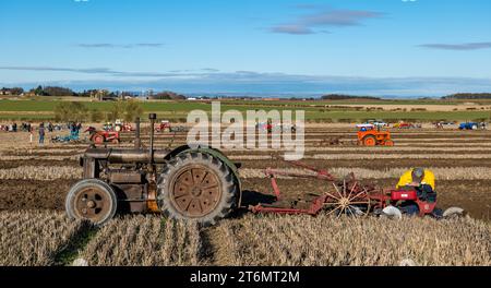 East Lothian, Scozia, Regno Unito, 11 novembre 2023. Partita dell'Associazione aratura East Lothian: L'evento annuale si svolge quest'anno presso l'East Fenton Farm, con i partecipanti a una varietà di trattori d'epoca che arano la loro zona di solchi giudicati in base a una varietà di fattori, tra cui rettilineità, regolarità, profondità e paglia limpida in una fredda giornata di sole. Nella foto: Un vecchio trattore d'epoca Fordson, il più vecchio che ha partecipato. Crediti: Sally Anderson/Alamy Live News Foto Stock