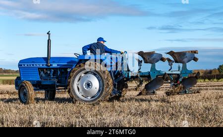 East Lothian, Scozia, Regno Unito, 11 novembre 2023. Partita dell'Associazione aratura East Lothian: L'evento annuale si svolge quest'anno presso l'East Fenton Farm, con i partecipanti a una varietà di trattori d'epoca che arano la loro zona di solchi giudicati in base a una varietà di fattori, tra cui rettilineità, regolarità, profondità e paglia limpida in una fredda giornata di sole. Crediti: Sally Anderson/Alamy Live News Foto Stock