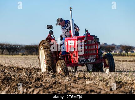 East Lothian, Scozia, Regno Unito, 11 novembre 2023. Partita dell'Associazione aratura East Lothian: L'evento annuale si svolge quest'anno presso l'East Fenton Farm, con i partecipanti a una varietà di trattori d'epoca che arano la loro zona di solchi giudicati in base a una varietà di fattori, tra cui rettilineità, regolarità, profondità e paglia limpida in una fredda giornata di sole. Crediti: Sally Anderson/Alamy Live News Foto Stock