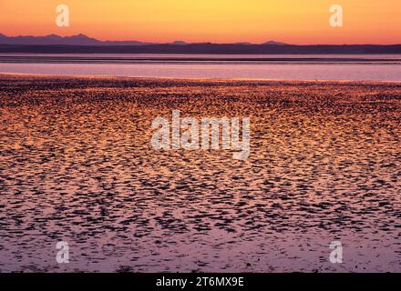 Mudflat sunrise, Damon Point State Park, Washington Foto Stock