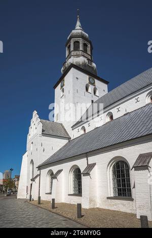 Chiesa di Budolfi ad Aalborg, Danimarca Foto Stock