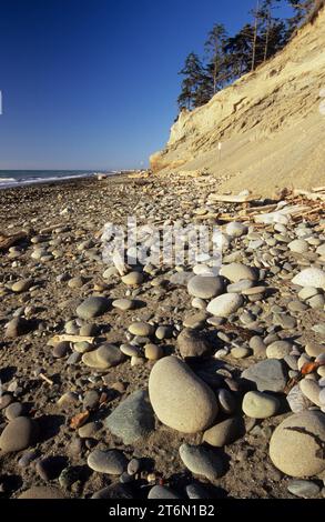 Bluff scogliere sulla spiaggia, Dungeness National Wildlife Refuge, Washington Foto Stock