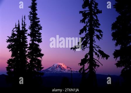 Mt Adams da Goat Ridge, Goat Rocks Wilderness, Mt Baker-Snoqualmie National Forest, Washington Foto Stock