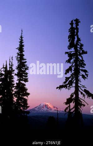 Mt Adams da Goat Ridge, Goat Rocks Wilderness, Mt Baker-Snoqualmie National Forest, Washington Foto Stock