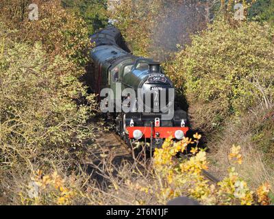 Sheerness, Kent, Regno Unito. 11 novembre 2023. Uno speciale treno a vapore per il giorno dell'armistizio ha visitato Sheerness nel Kent oggi. L'Armistizio Kentish Belle (locomotiva 45596 Bahams) visitò l'isola di Sheppey dopo essere partito da Londra Victoria. Crediti: James Bell/Alamy Live News Foto Stock