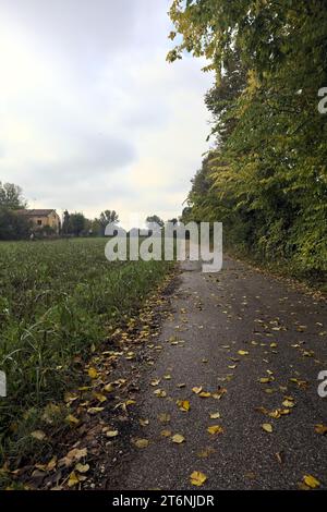 Sentiero sterrato con pozzanghere vicino a un campo e delimitato da alberi in una giornata nuvolosa nella campagna italiana Foto Stock