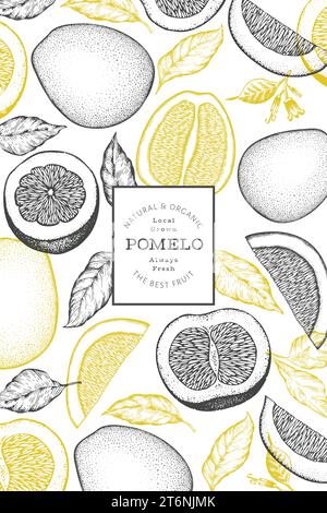 Banner in pomelo disegnato a mano. Illustrazione del vettore della frutta fresca organica. Modello di disegno frutto retrò Illustrazione Vettoriale