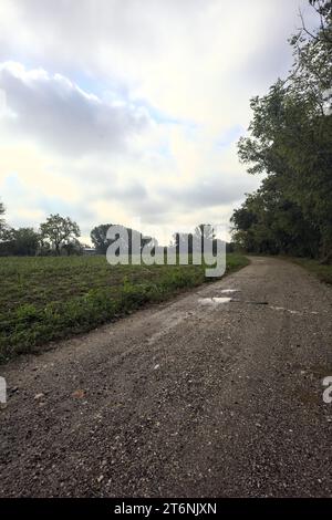 Sentiero sterrato con pozzanghere vicino a un campo e delimitato da alberi in una giornata nuvolosa nella campagna italiana Foto Stock