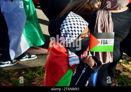 scene della manifestazione di massa contro la guerra a favore del cessate il fuoco nel centro di londra che chiede un cessate il fuoco in palestina israele gaza 11 novembre 2023 Foto Stock