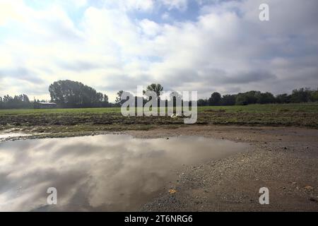 Immergiti in un sentiero vicino a un campo con il cielo gettato nell'acqua in una giornata nuvolosa nella campagna italiana Foto Stock