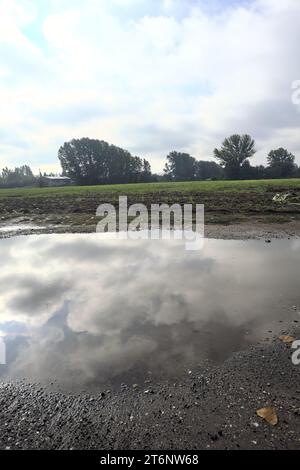 Immergiti in un sentiero vicino a un campo con il cielo gettato nell'acqua in una giornata nuvolosa nella campagna italiana Foto Stock