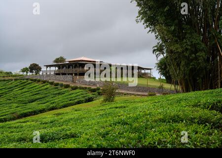 Bois Cheri, Mauritius - 18 ottobre 2023: Ristorante Bois Cheri e Tea Garden esterno che ospita degustazioni di tè. Foto Stock