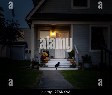 Decorazioni di gatto nero e Halloween sul portico anteriore Foto Stock