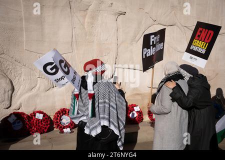 I manifestanti si fermano a guardare il memoriale degli animali a Park Lane durante la marcia pro-palestinese attraverso il centro di Londra, che ha coinciso con l'evento annuale dell'Armistizio Day, l'11 novembre 2023. Tra le tensioni tra le comunità opposte e il giorno del lutto nazionale per la morte della guerra britannica, il Commissario della polizia MET, Sir Mark Rowley, si è scontrato sia con il Segretario di Stato Suella Braverman che con il primo Ministro Rishi Sunak, i quali si sono chiesti se la marcia contro gli attacchi israeliani a Gaza dovesse andare avanti a causa di possibili disordini pubblici. 300.000 mila hanno preso la rotta concordata Foto Stock