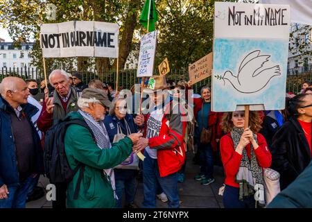 Londra, Regno Unito. 11 novembre 2023. Gli ebrei britannici escono per sostenere le centinaia di migliaia di manifestanti che stanno marciando attraverso il centro di Londra a sostegno della popolazione di Gaza. Credito: Grant Rooney/Alamy Live News Foto Stock