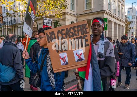 Londra, Regno Unito. 11 novembre 2023. Centinaia di migliaia di manifestanti marciano attraverso il centro di Londra a sostegno della popolazione di Gaza. Credito: Grant Rooney/Alamy Live News Foto Stock