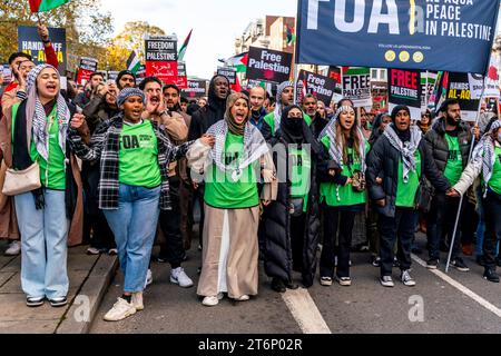 Londra, Regno Unito. 11 novembre 2023. Centinaia di migliaia di manifestanti marciano attraverso il centro di Londra a sostegno della popolazione di Gaza. Credito: Grant Rooney/Alamy Live News Foto Stock