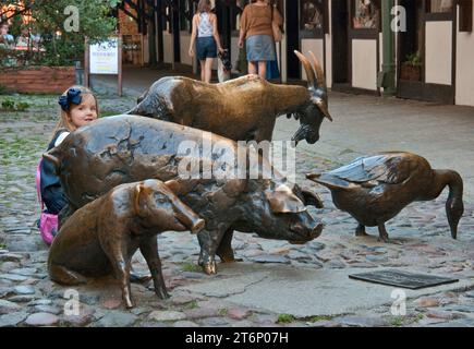 Il monumento "in onore degli animali da macello" nel passaggio di Jatki (Shambles). Dove si trovavano macelli medievali, a Wrocław, in Polonia Foto Stock