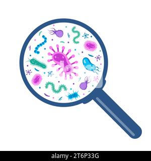 Diversi batteri, microrganismi patogeni sotto una lente d'ingrandimento. Batteri e germi, microrganismi che causano malattie, batteri, batteri, virus Illustrazione Vettoriale