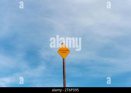 Cartello giallo a forma di diamante per un cavo telefonico contro un cielo blu con un agul seduto in cima Foto Stock