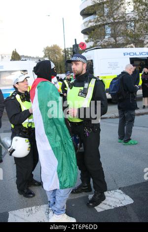 Londra, Regno Unito. 11/novembre/2023 marzo per la Palestina in occasione dell'Armistizio a Londra si svolge a Londra Una quarta grande marcia in solidarietà con il popolo palestinese. La marcia inizia a Hyde Park prima di attraversare il Tamigi fino a Vauxhall, terminando con un raduno, vicino all'ambasciata americana. La marcia è stata fonte di polemiche durante la settimana a seguito dei commenti del segretario di casa sulla polizia, la polizia metropolitana mantiene una forte presenza per tutto il giorno. Credito: Roland Ravenhill/Alamy. Foto Stock