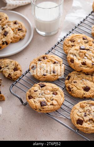 Biscotti con gocce di cioccolato su una griglia di raffreddamento con sale friabile serviti con un primo shot di latte freddo Foto Stock