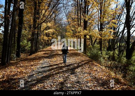 Una donna cammina lungo un sentiero naturalistico ad Abingdon, Virginia. Foto Stock