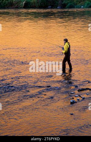 Pesca a mosca nel fiume Yakima, Yakima River Canyon Scenic e autostrada ricreative, Washington Foto Stock