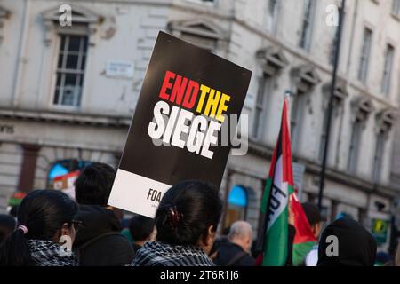 Londra, Regno Unito. 11 novembre 2023. Centinaia di migliaia di manifestanti si sono riuniti il giorno dell'armistizio per chiedere un immediato cessate il fuoco in Medio Oriente, dove migliaia di civili innocenti, tra cui molti bambini, sono morti sia nell'attacco di Hamas contro Israele che nei successivi attacchi aerei israeliani che hanno devastato vaste aree di Gaza. Kiki Streitberger/Alamy Live News Foto Stock