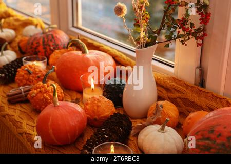 Diverse zucche decorative, candele brucianti e coni di pino sul davanzale all'interno Foto Stock